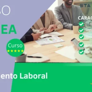 Rendimiento laboral en las Organizaciones